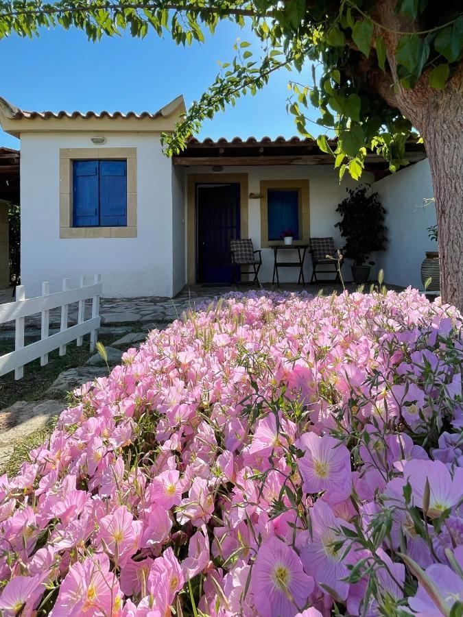 Vasilopoulos Estate Koróni Exteriör bild